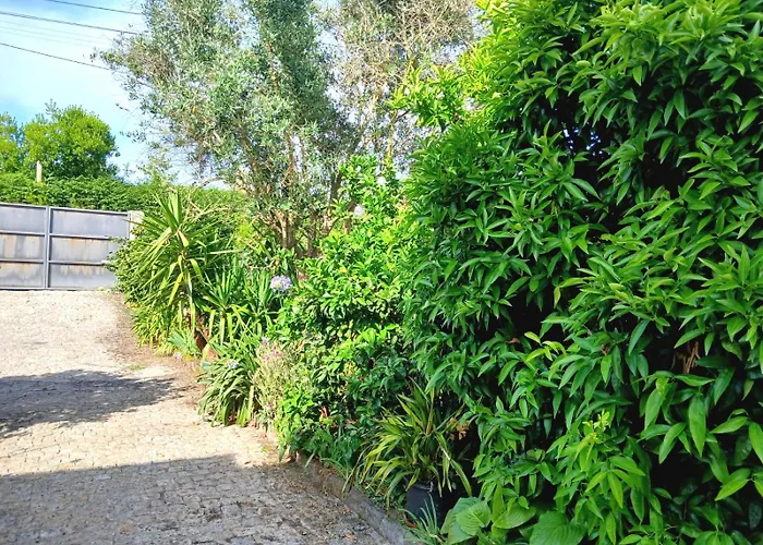 Candieira Feriehus *